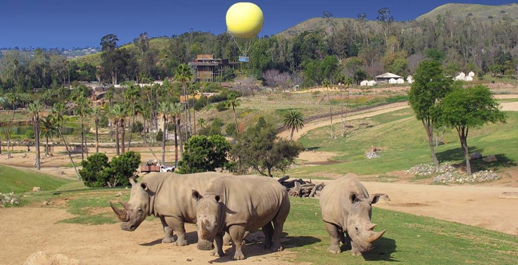 Best Travel spots San Diego Zoo: