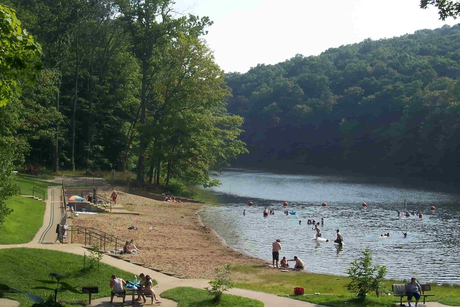 National Forest Illinois