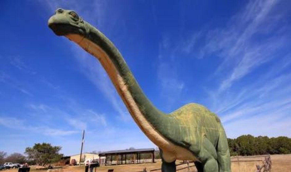 Ultimate Adventure Tour in Dinosaur Valley State Park, Texas