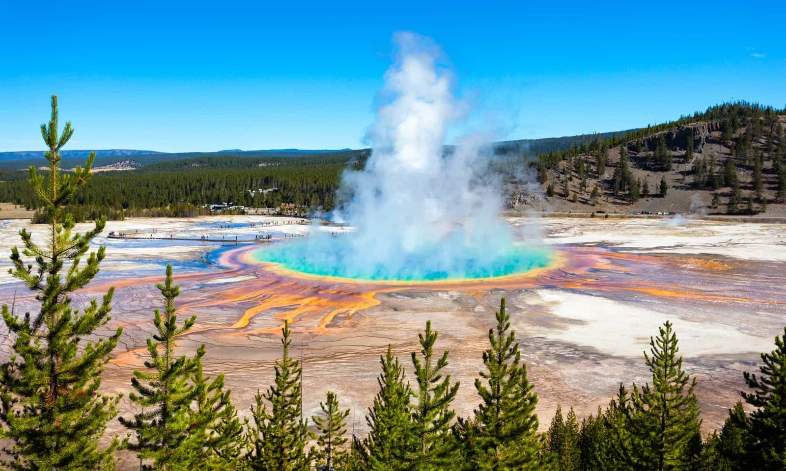 best places to visit in yellowstone national park and why to visit them