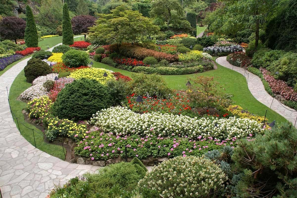 •	One of the top list things to do in Victoria is visiting Butchart garden