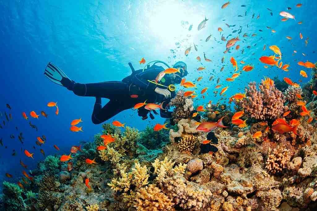 Scuba diving in Bali
