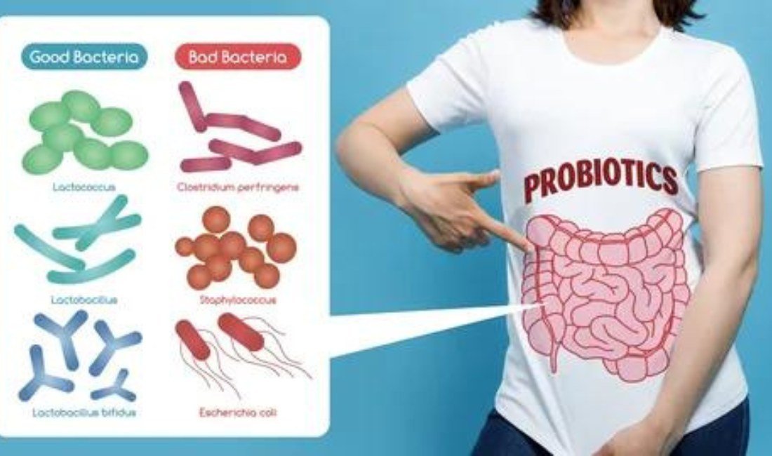 Probiotics help maintain a healthy balance of "friendly" bacteria in the digestive tract