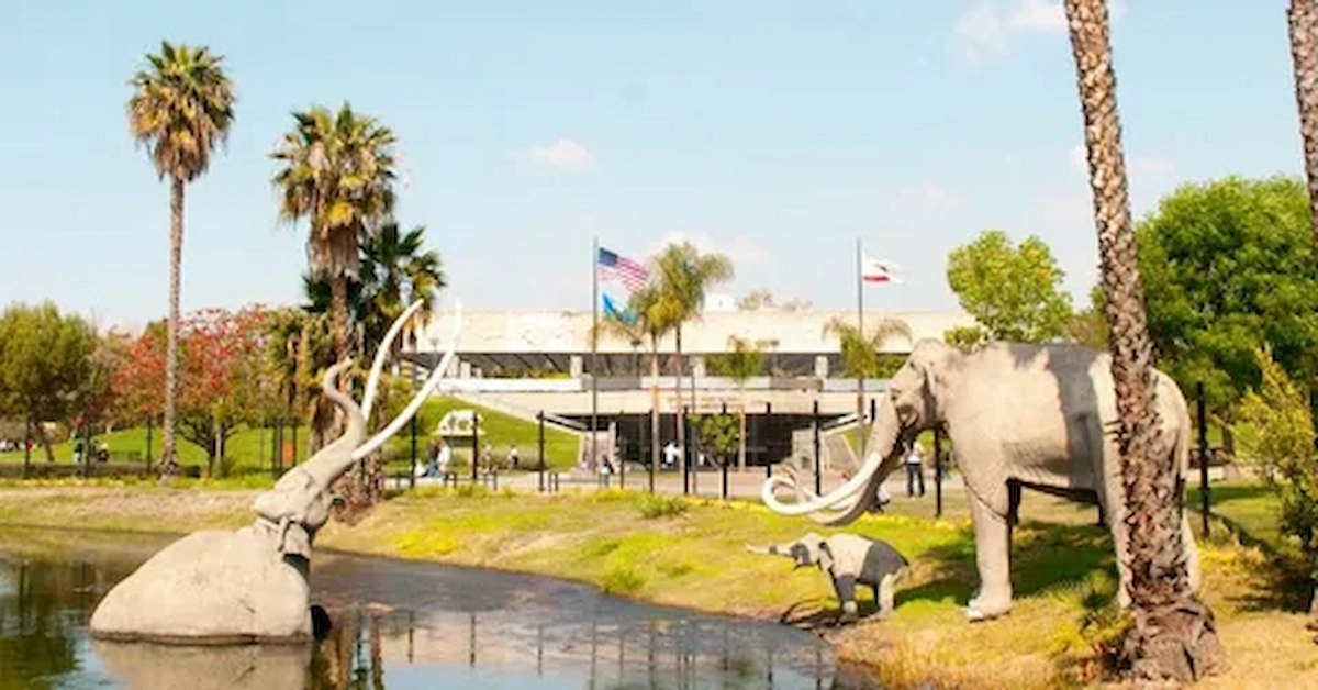 California for kids, things to see