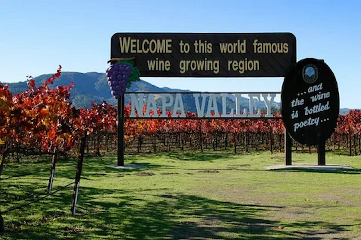 Napa Valley is one of the most famous wine regions in the world