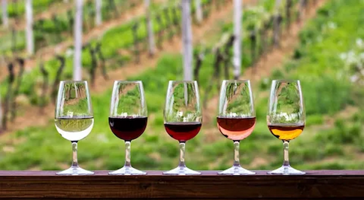 Go On A Wine Tasting Trip!