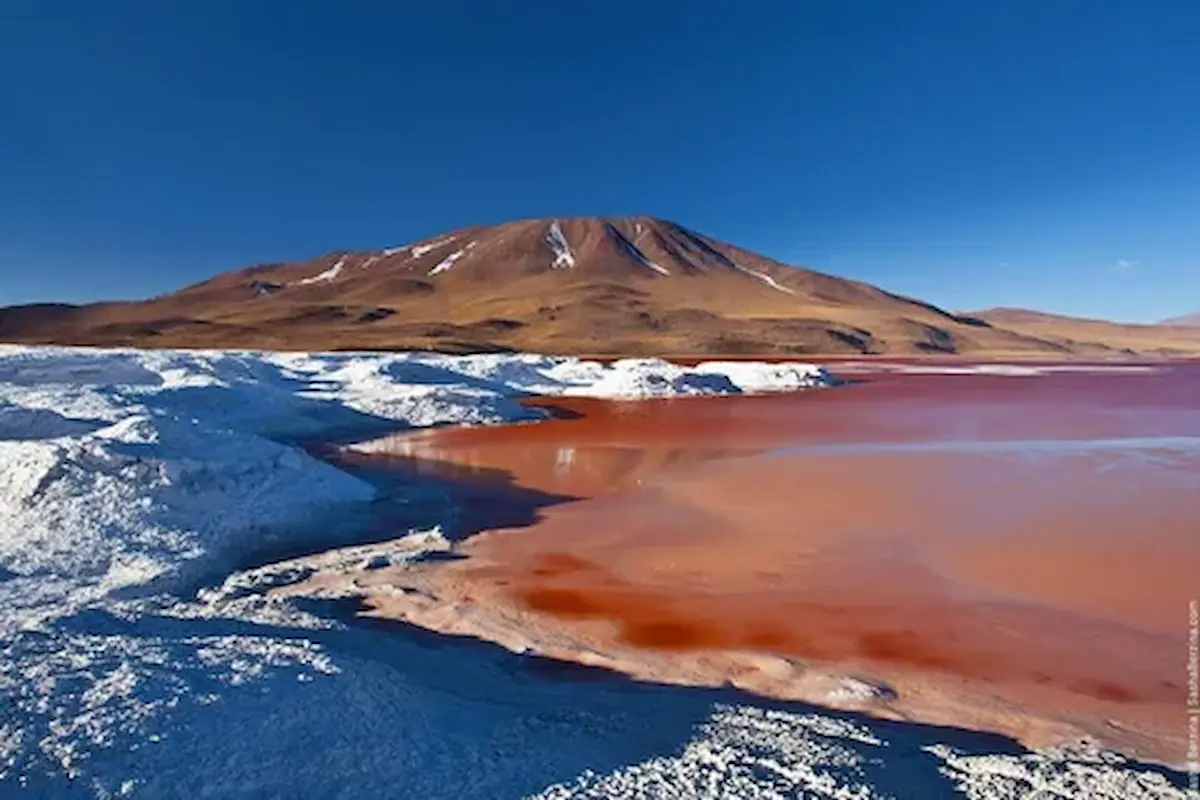 Laguna Colorado, Bolivia