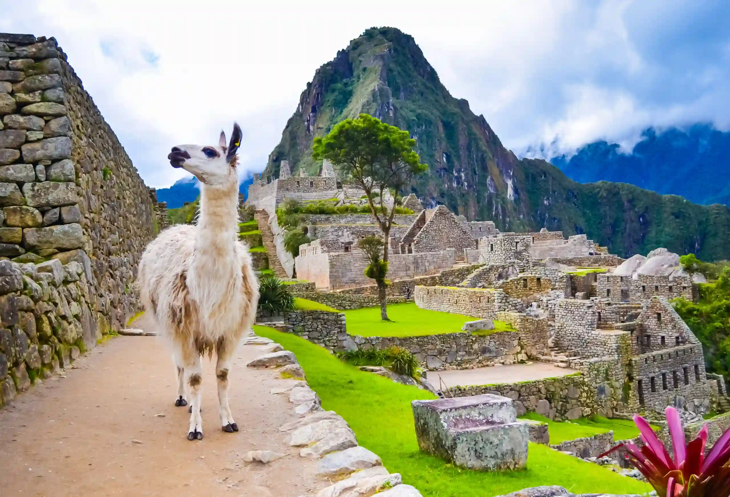 Machu Picchu, Peru