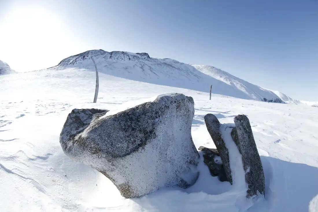 Whale Bone Alley, Siberia