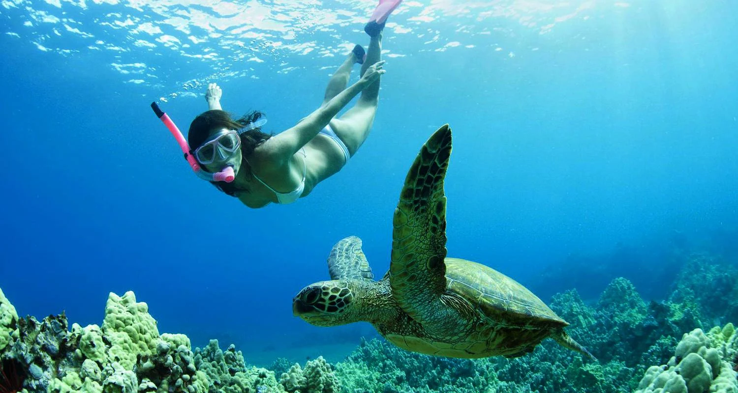 Diving & Snorkeling Cayman island