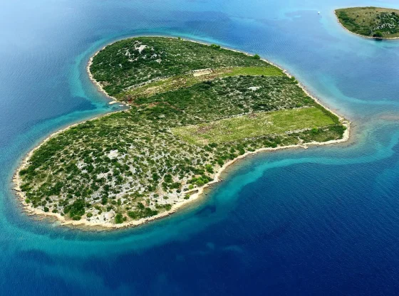 Tropical Island Floating Island