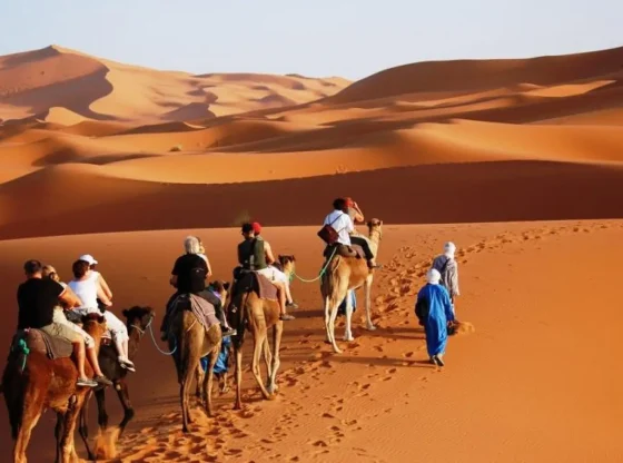Explore the enchanting Moroccan desert with our family-friendly camel rides and immerse yourself in a rich cultural experience like no other!