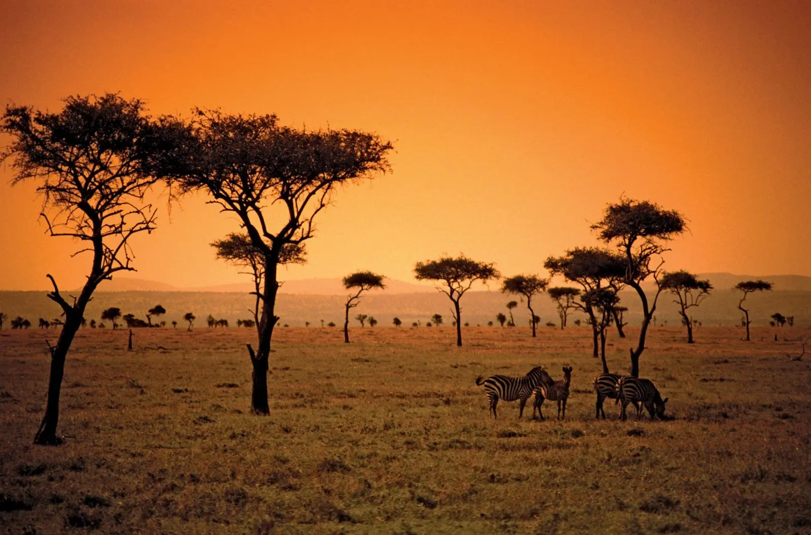 Africa's Natural Beauty