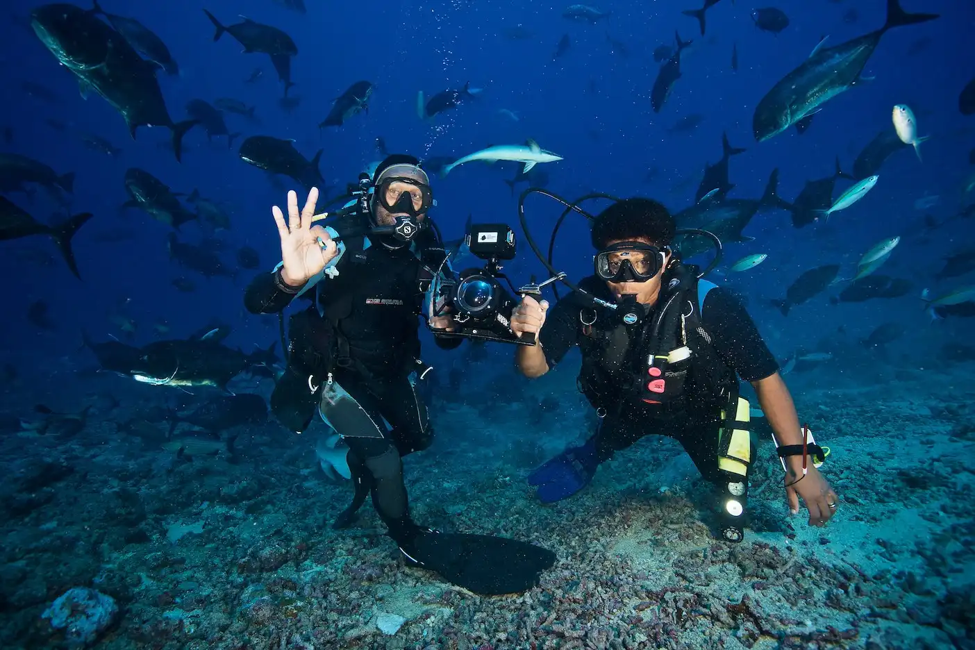 diving fiji
