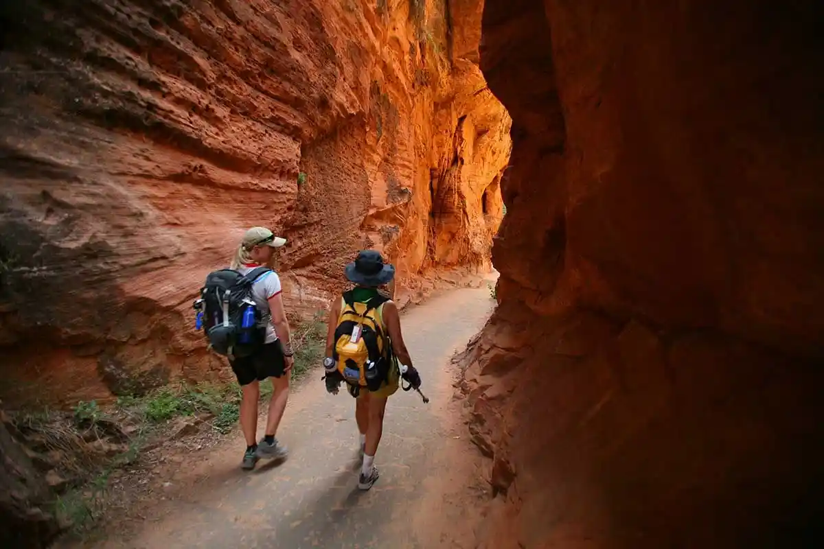 A Comprehensive Tour Guide For Exploring The Depth Of Copper Canyon 
