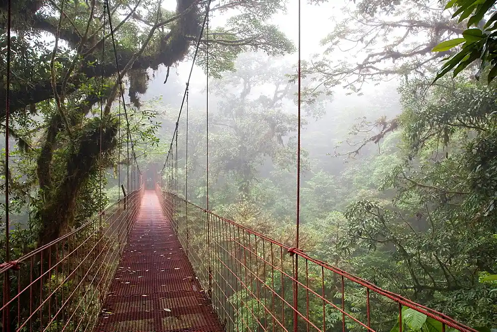 Monteverde Cloud Forest Reserve