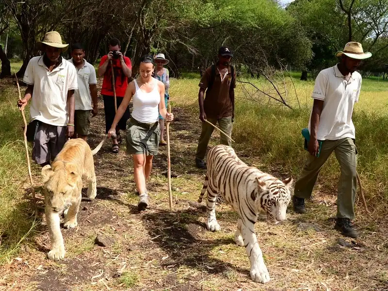 Casela Nature Park Mauritius