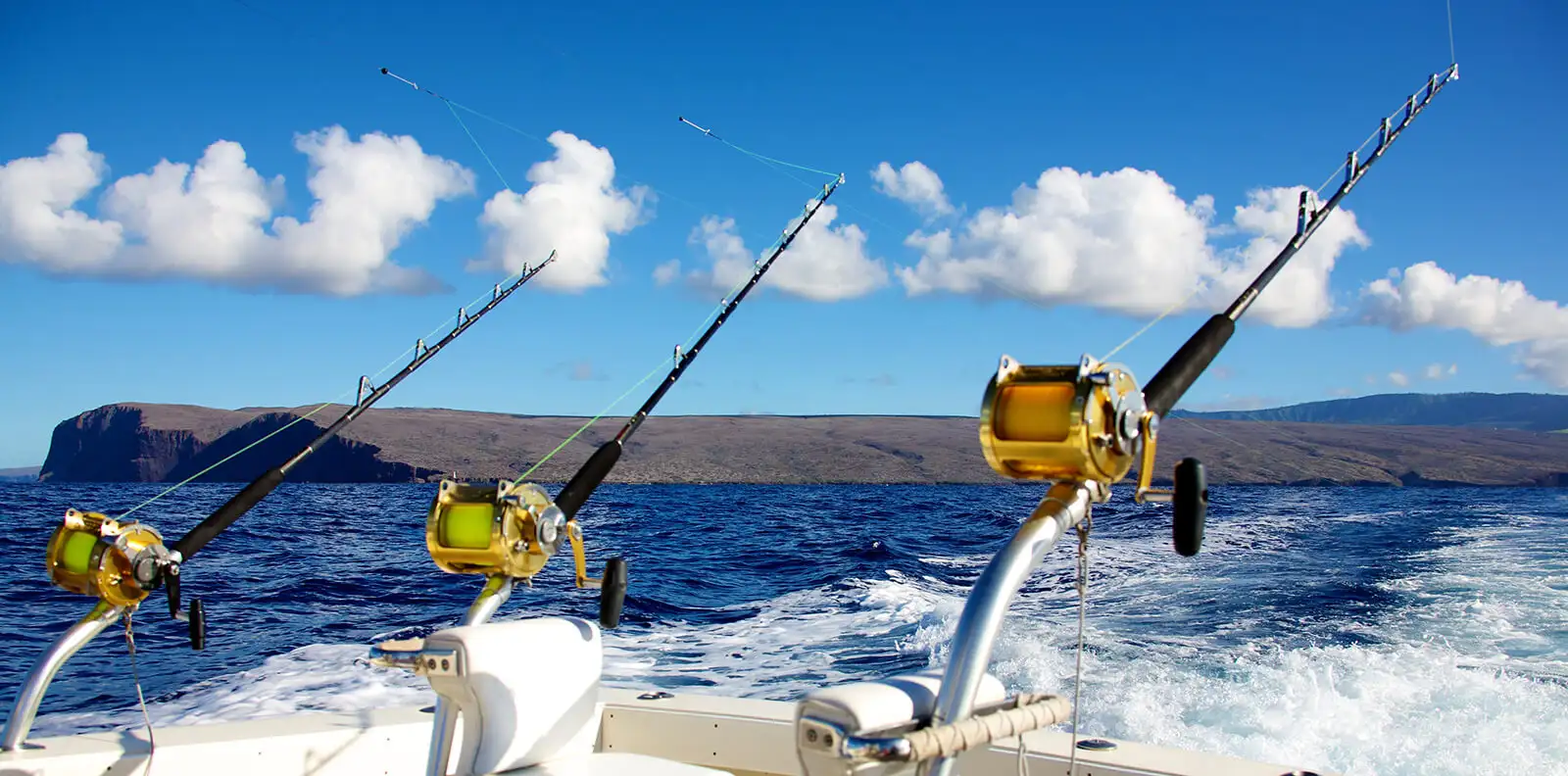 Equipment is Not Necessary

A primary advantage of utilizing San Diego Fishing Charters