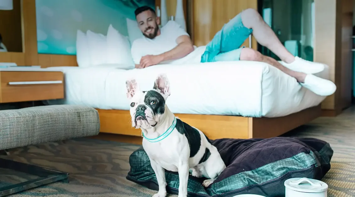 Exploring Pet-Friendly Motels in San Diego: Your Guide to a Tail-Wagging Stay