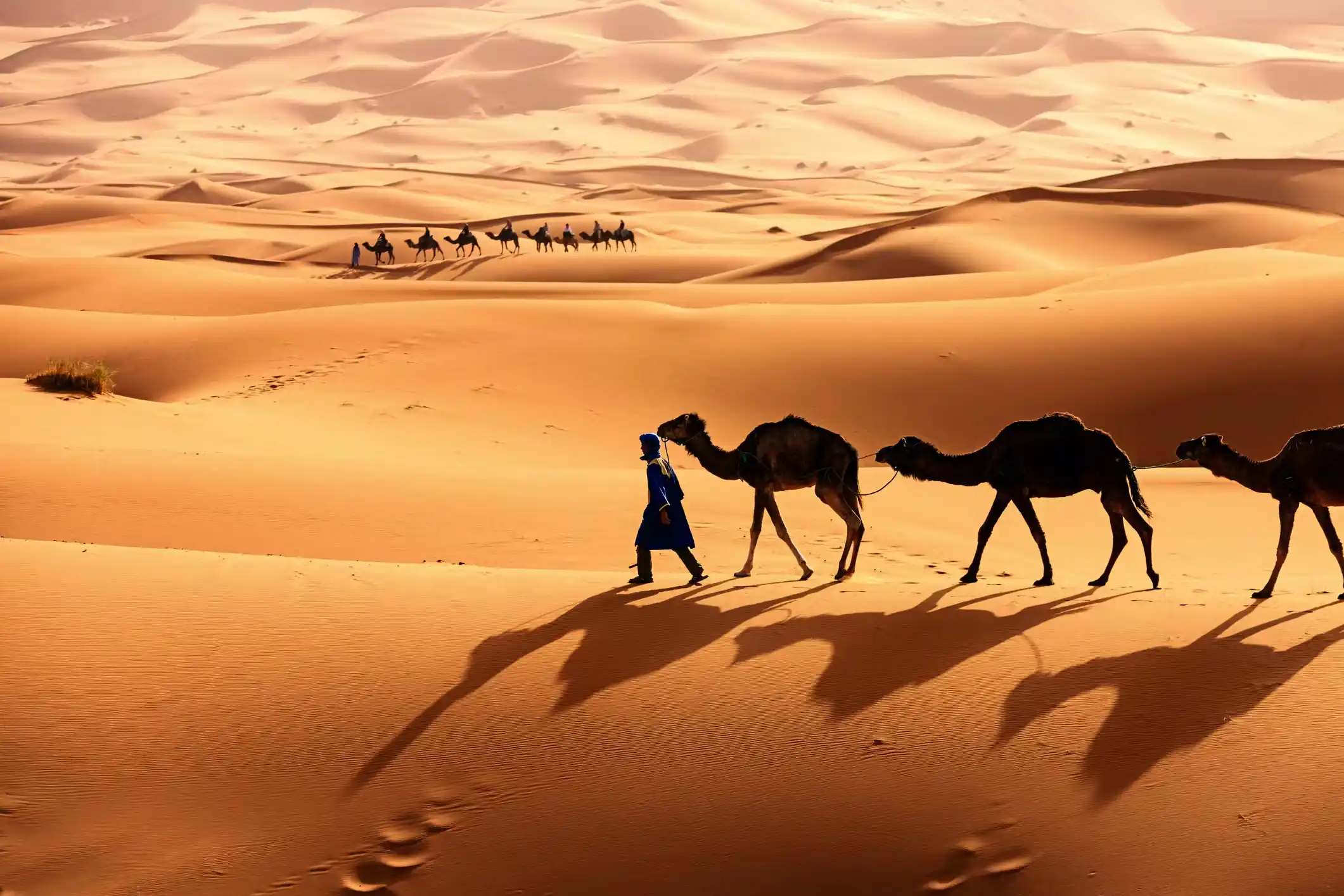 Investigating the Sahara Desert: