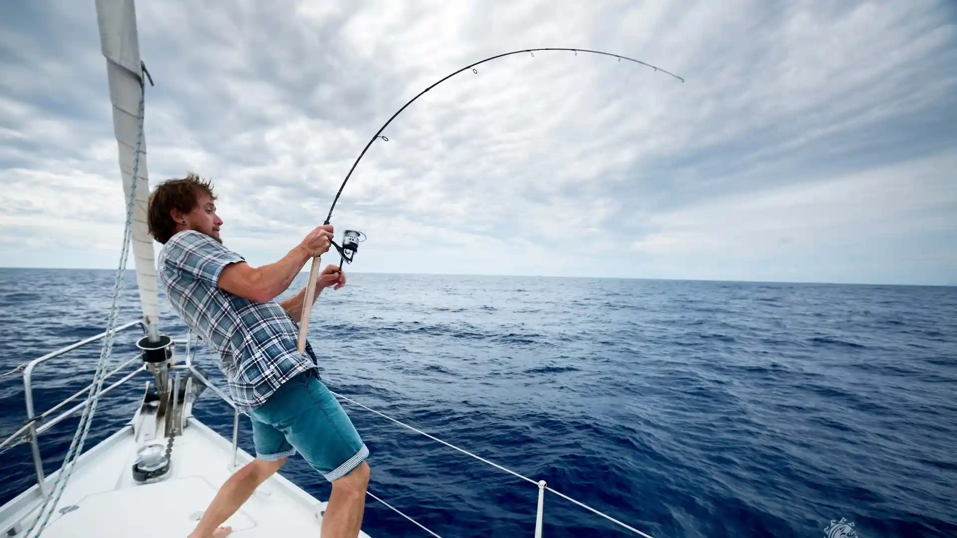 Using San Diego Fishing Charters can be highly advantageous