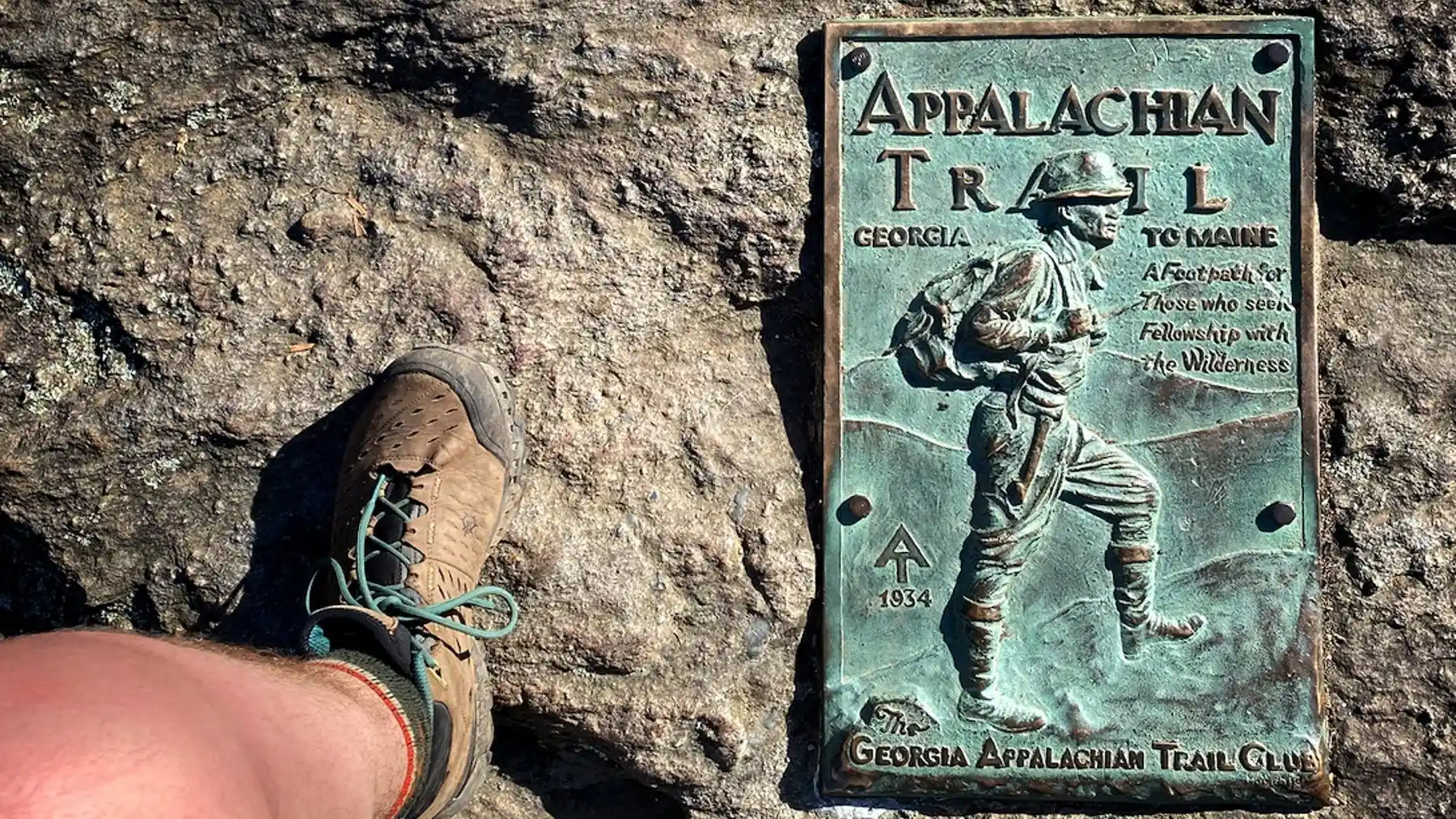 Betting Buzz: Amplifying the Sports Experience