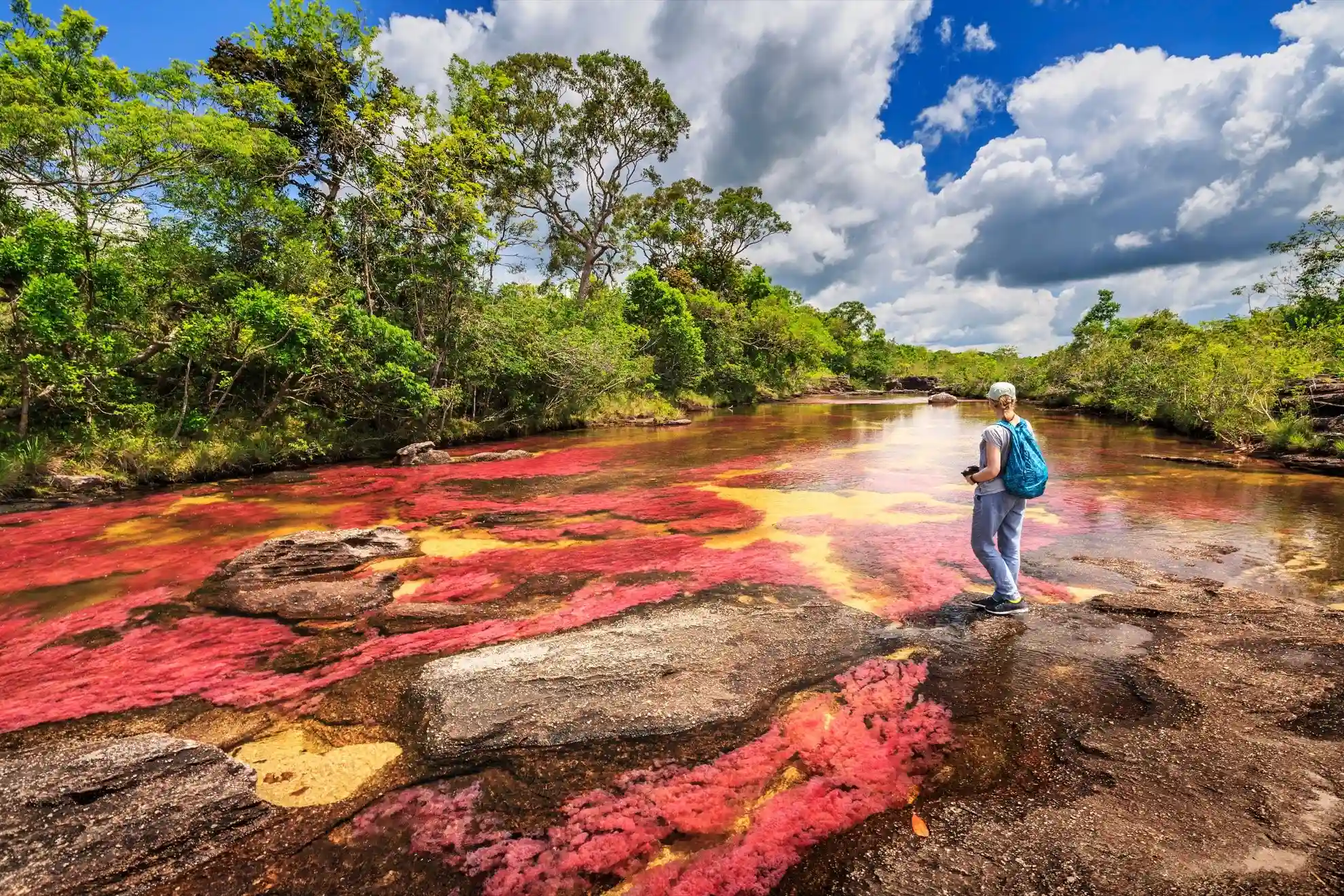 Cano Cristales, Colombia (Rainbow River) 