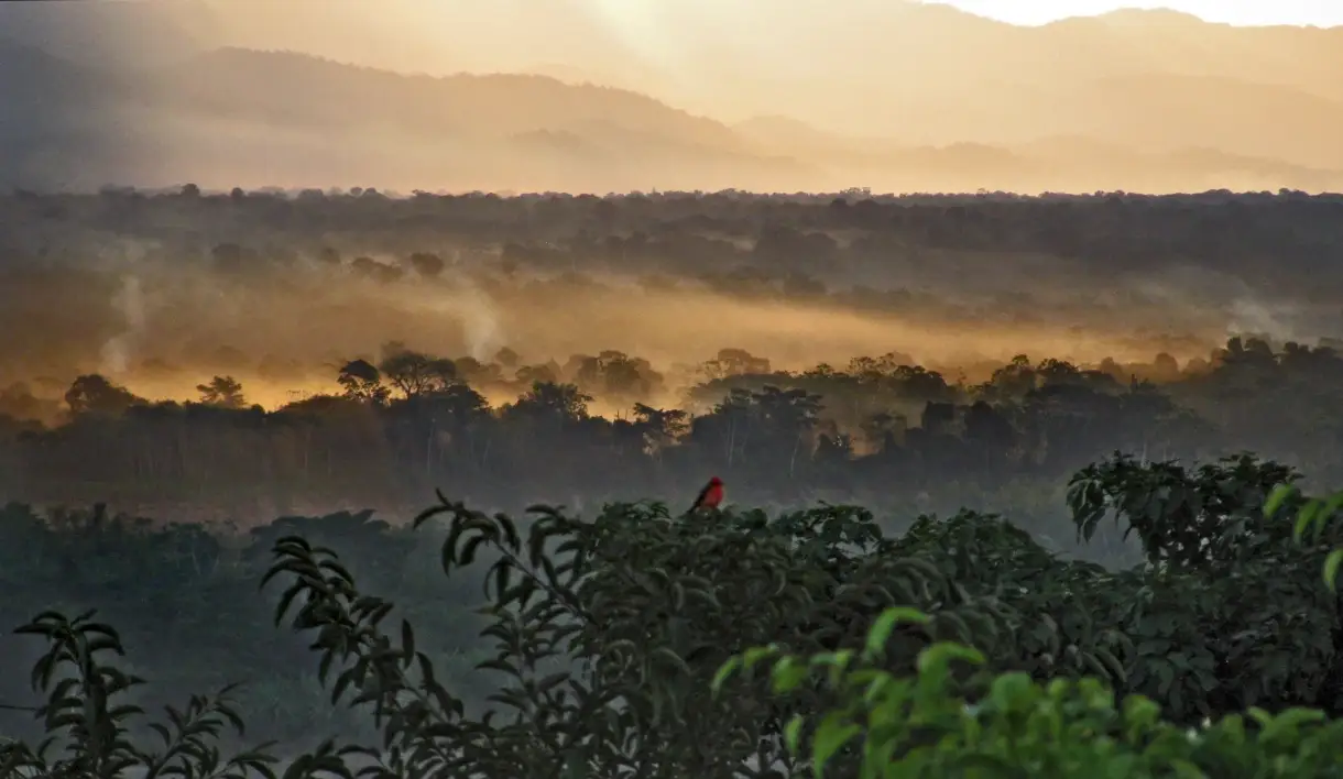 Rurrenabaque and the Amazon Rainforest
