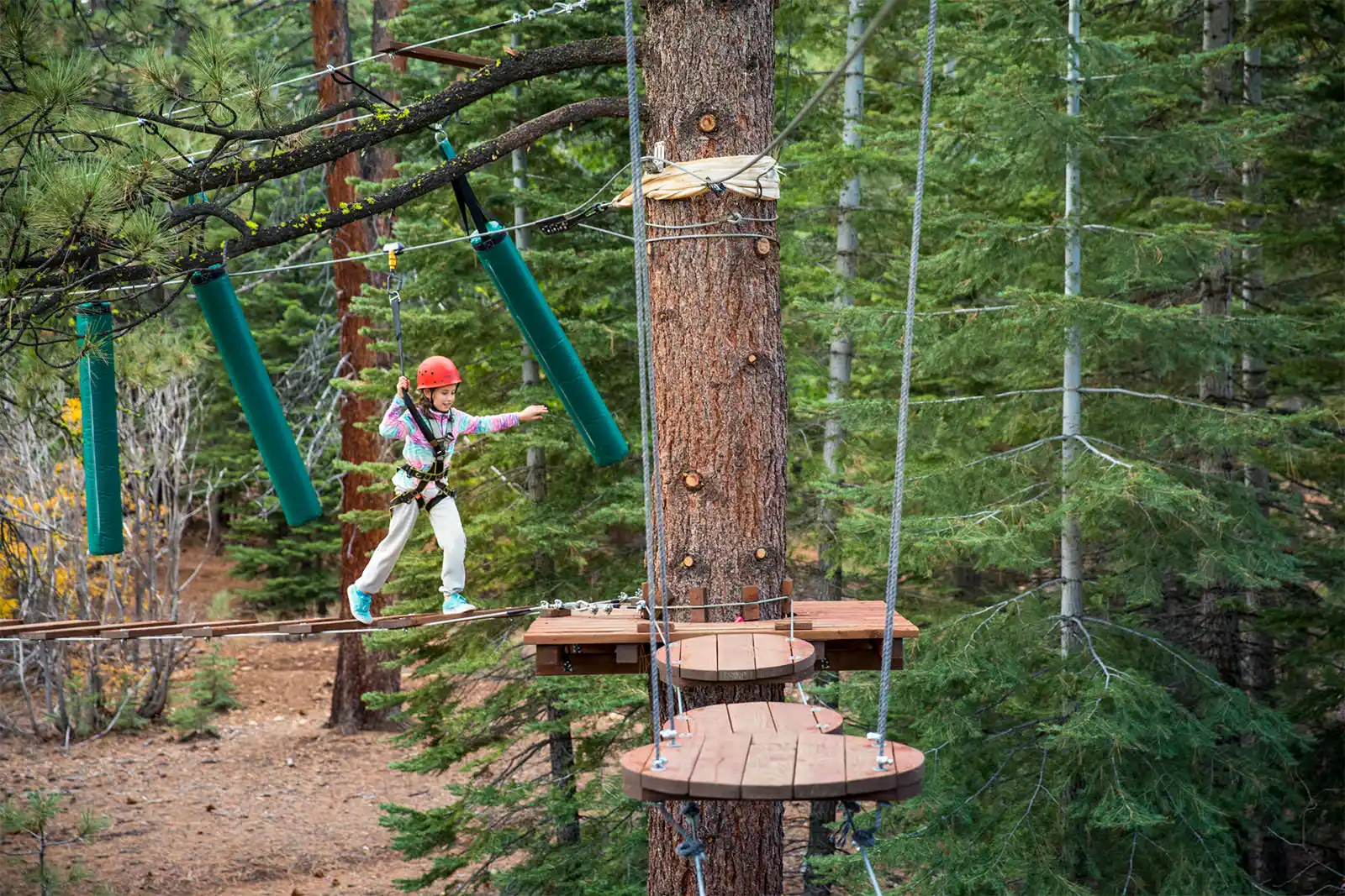 Location Wake Forest Adventure Park 
