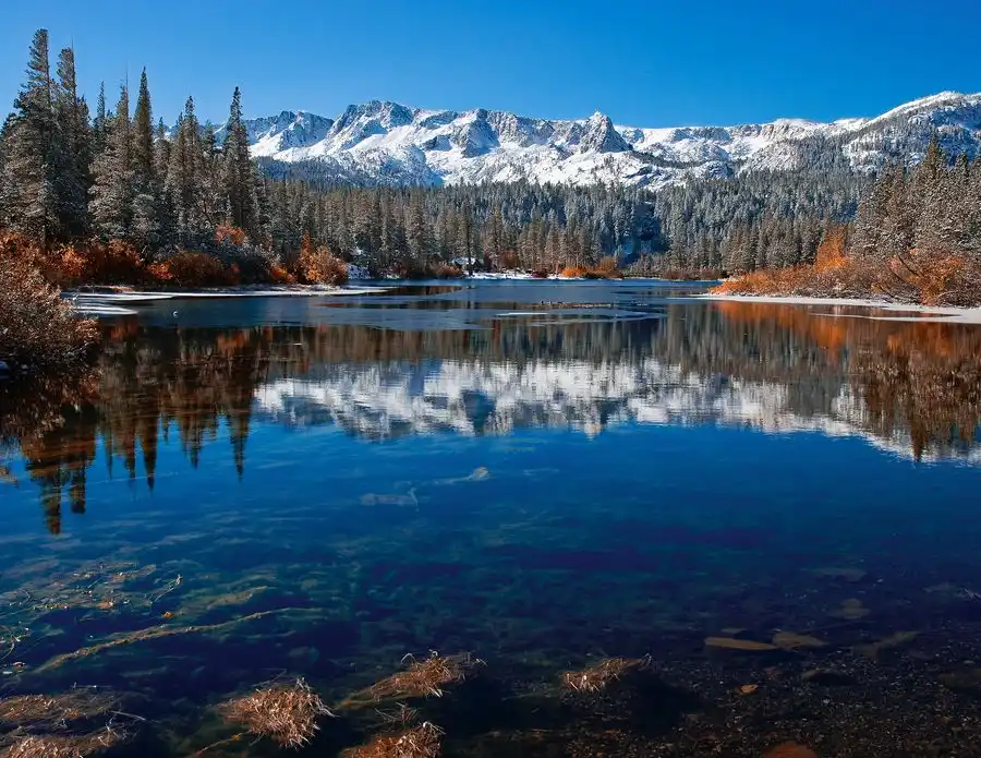 Call of the Lake George 