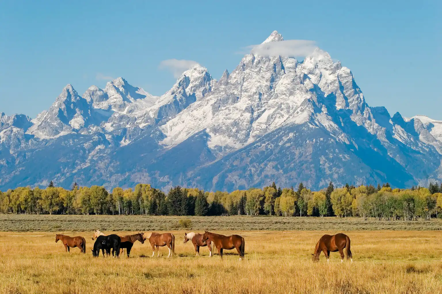 .The Rustic Beauty of Grand Teton, Wyoming