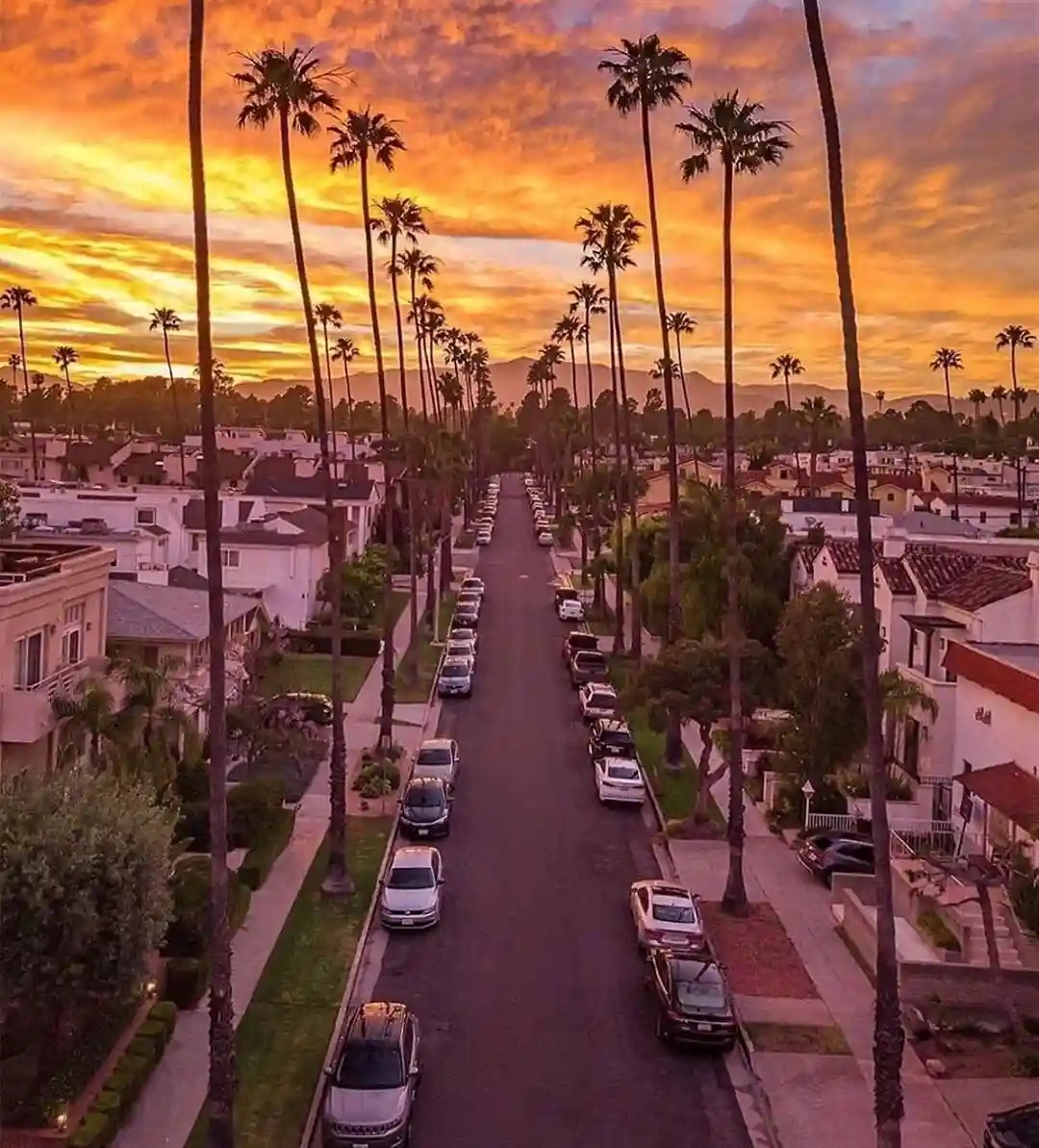 A Journey Through the City