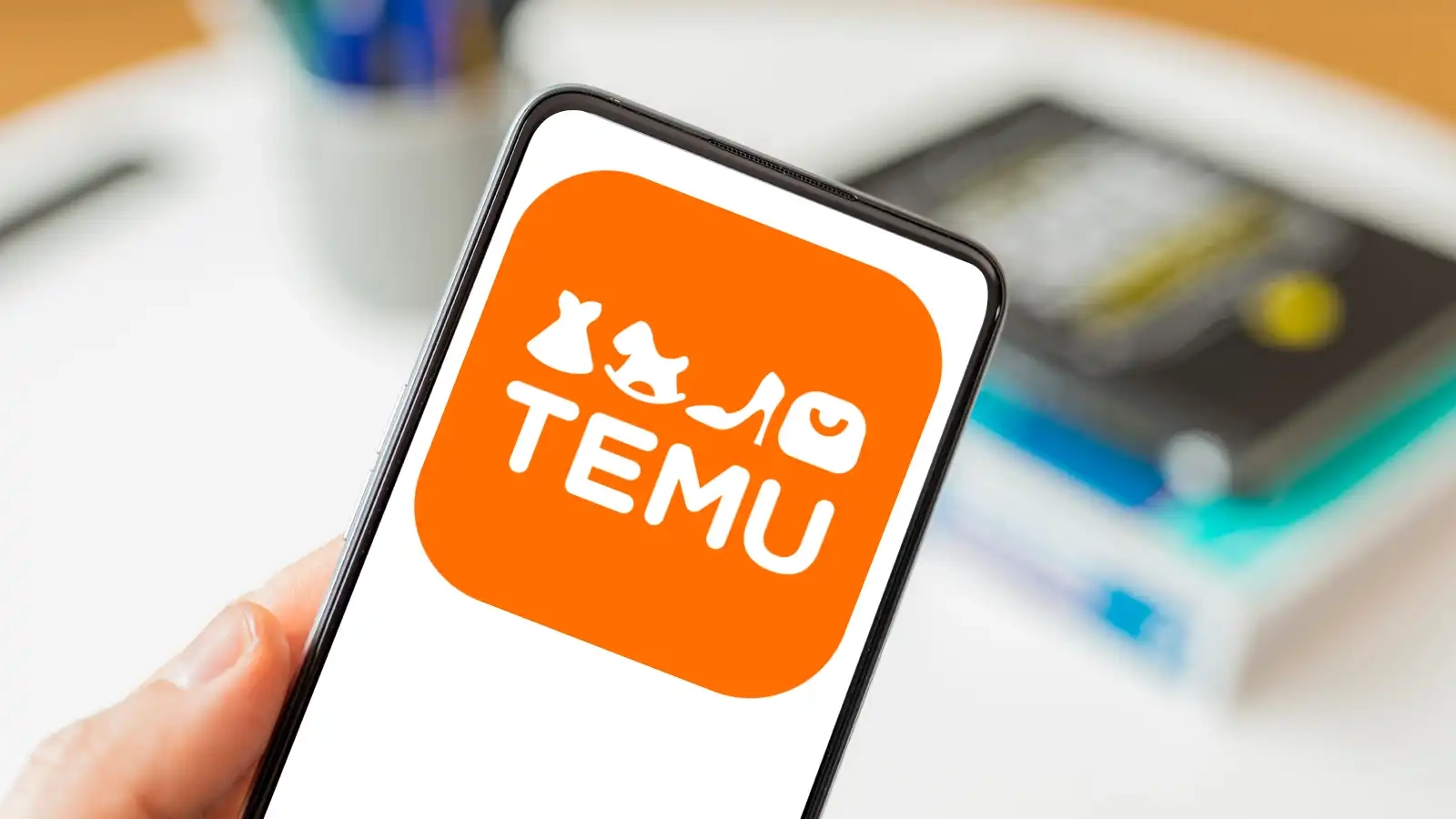 Is it Safe to Purchase from Temu?