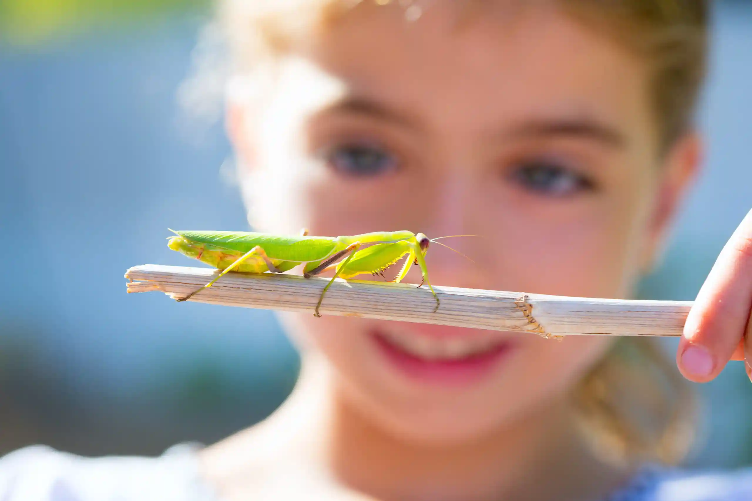 Budding Biologists And Young Naturalists