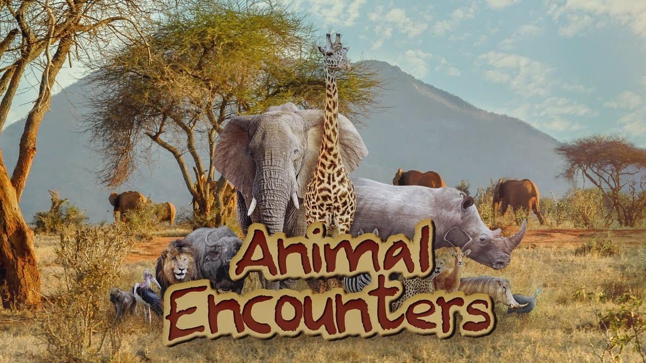 Animal Encounters