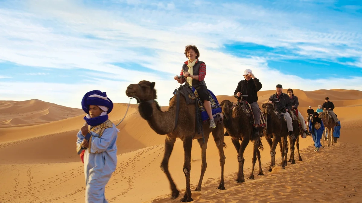 Gate 1 Travel Your Definitive Guide