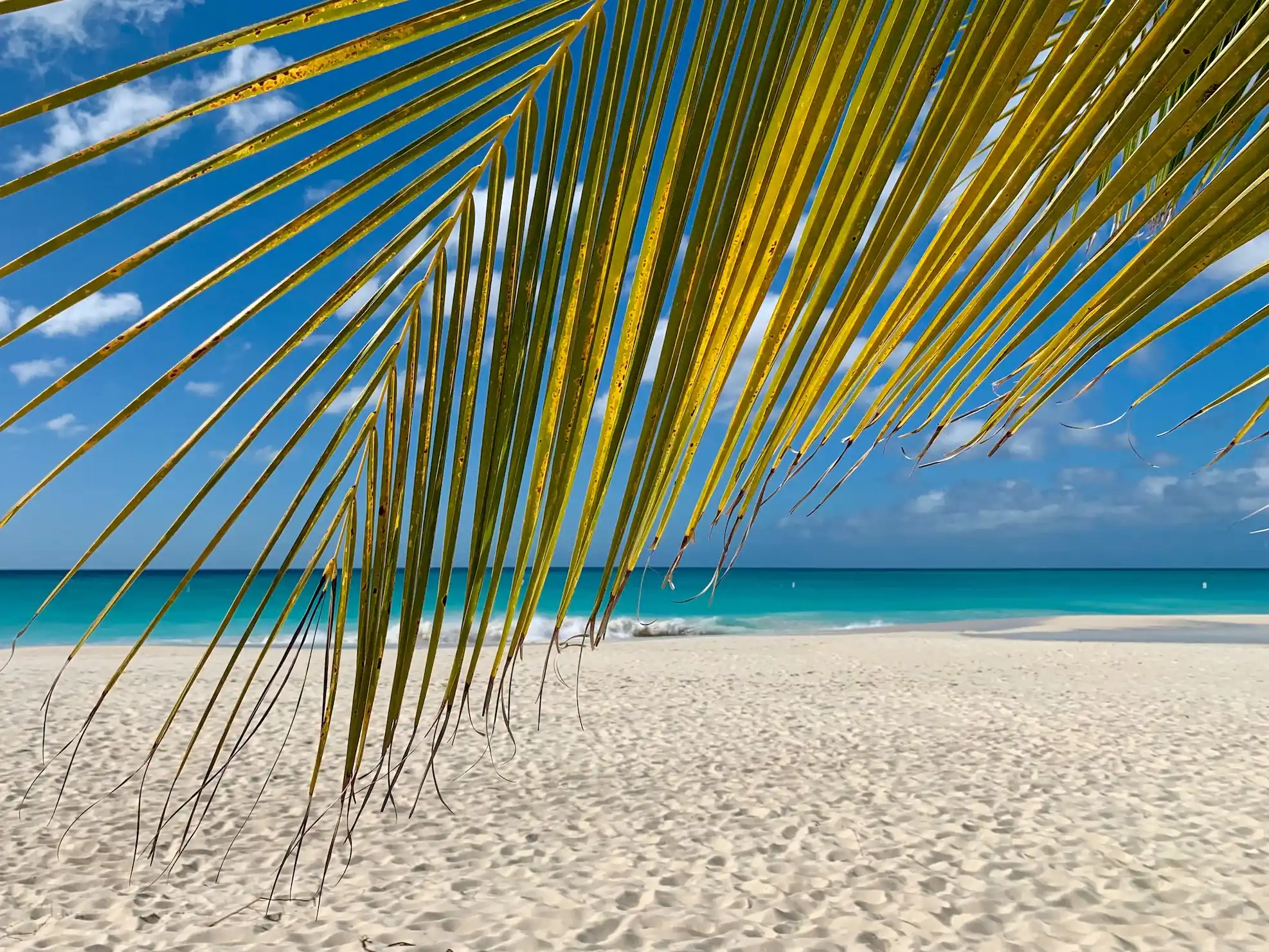The Caribbean: A Paradise for Beach Lovers