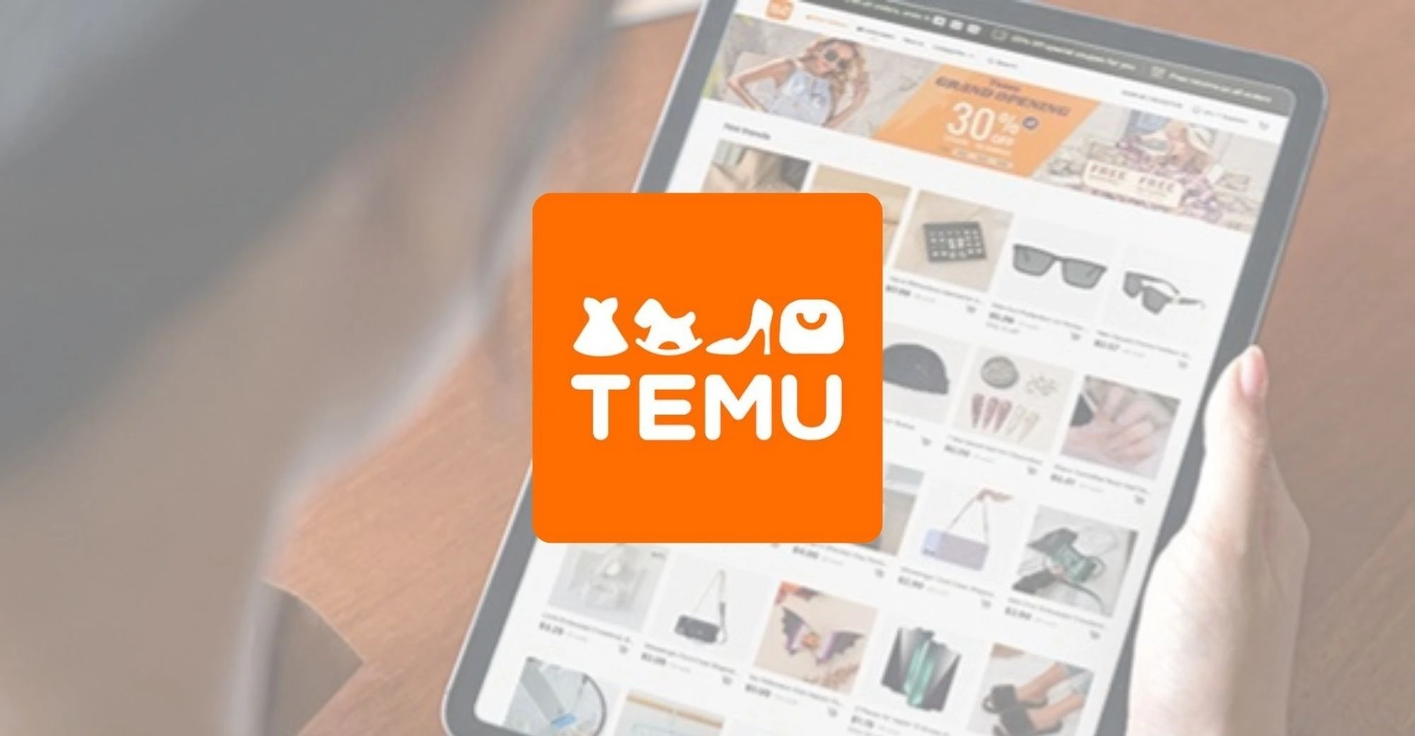 The Ownership and Operation of Temu