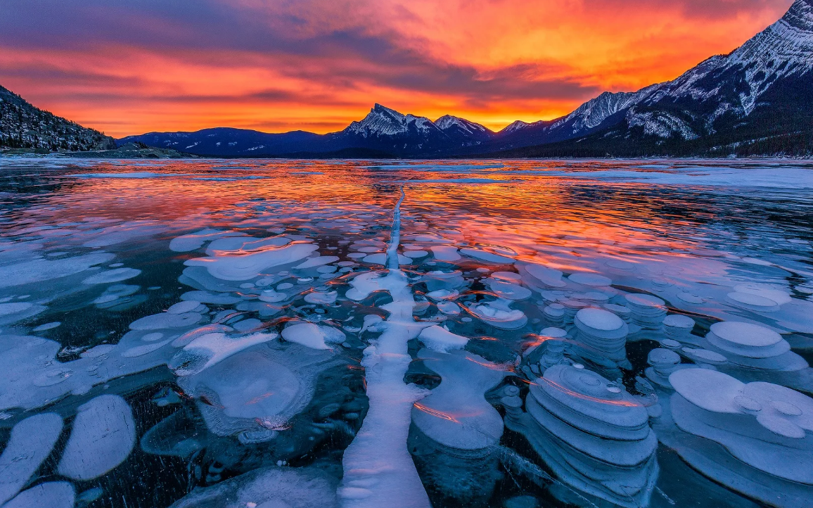 Abraham Lake 
