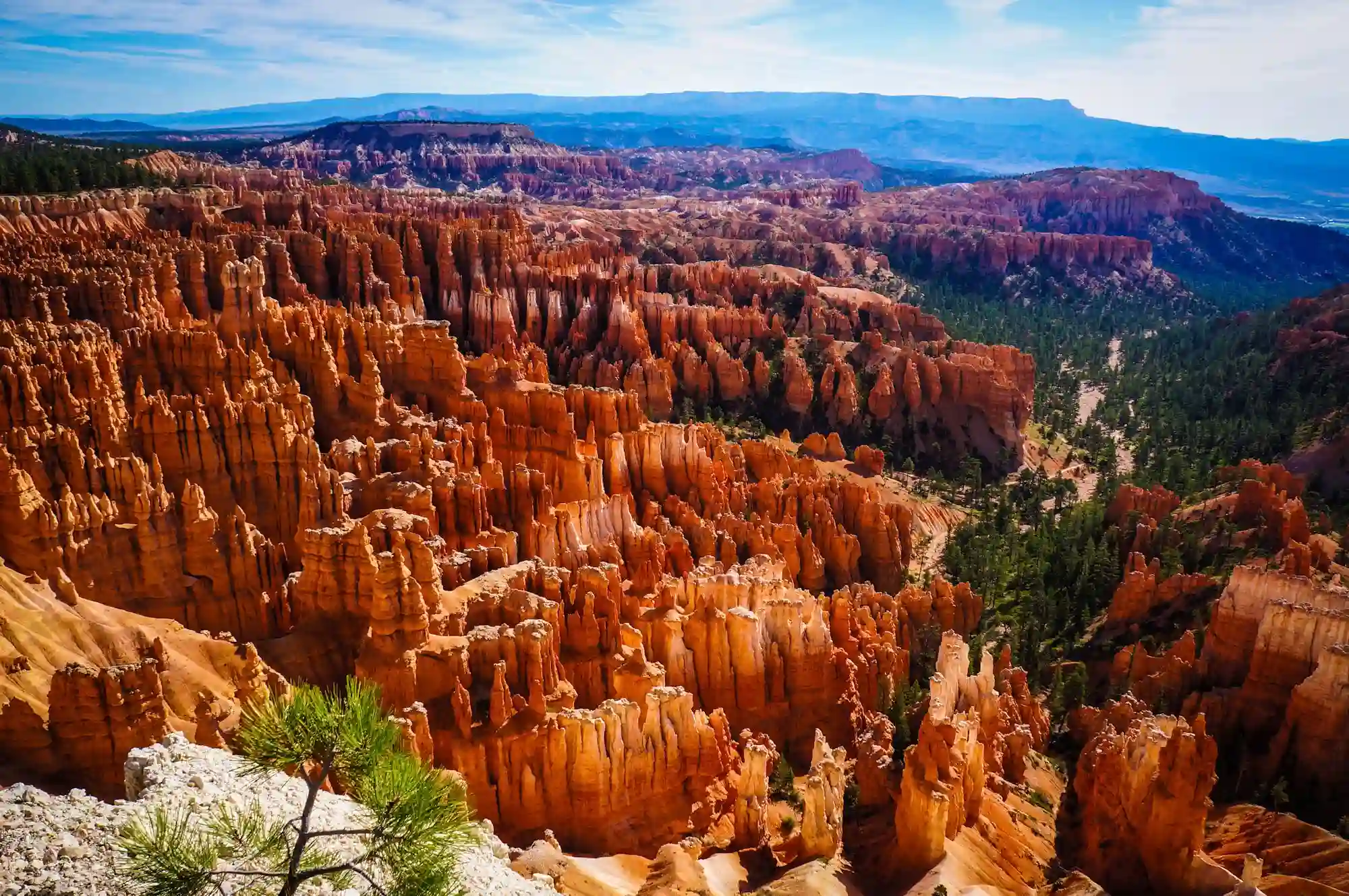 The Mighty 5 National Parks in Utah