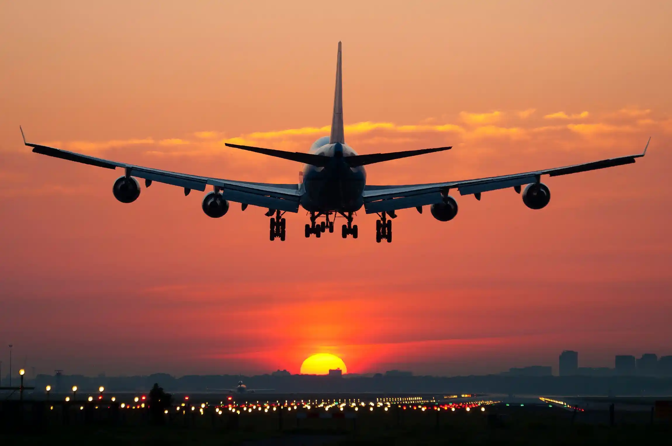 Flight Status Check Easily Track Your Flight's Departure and Arrival