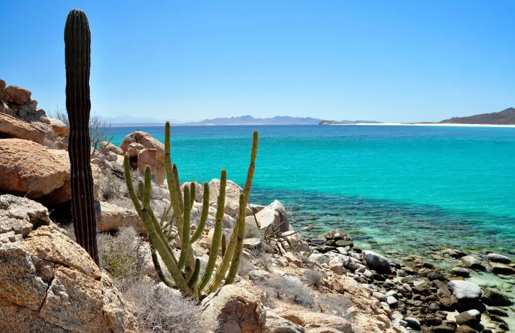 Understanding The Climate of Mexico