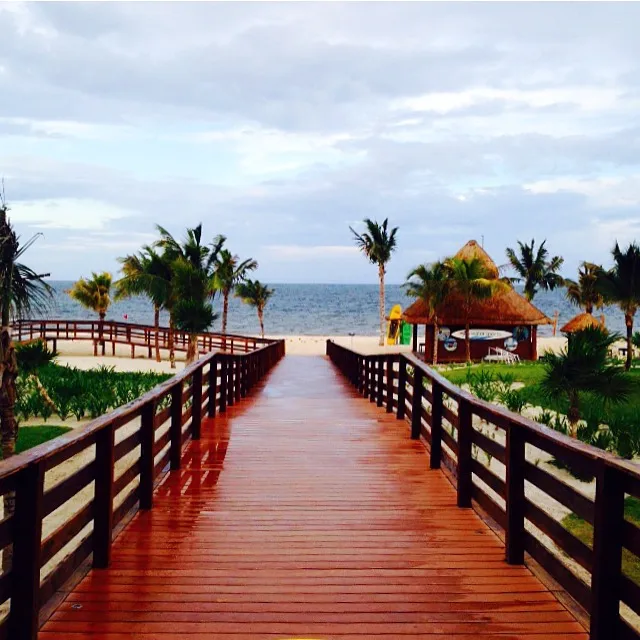 Pomelo Travel's Purpose