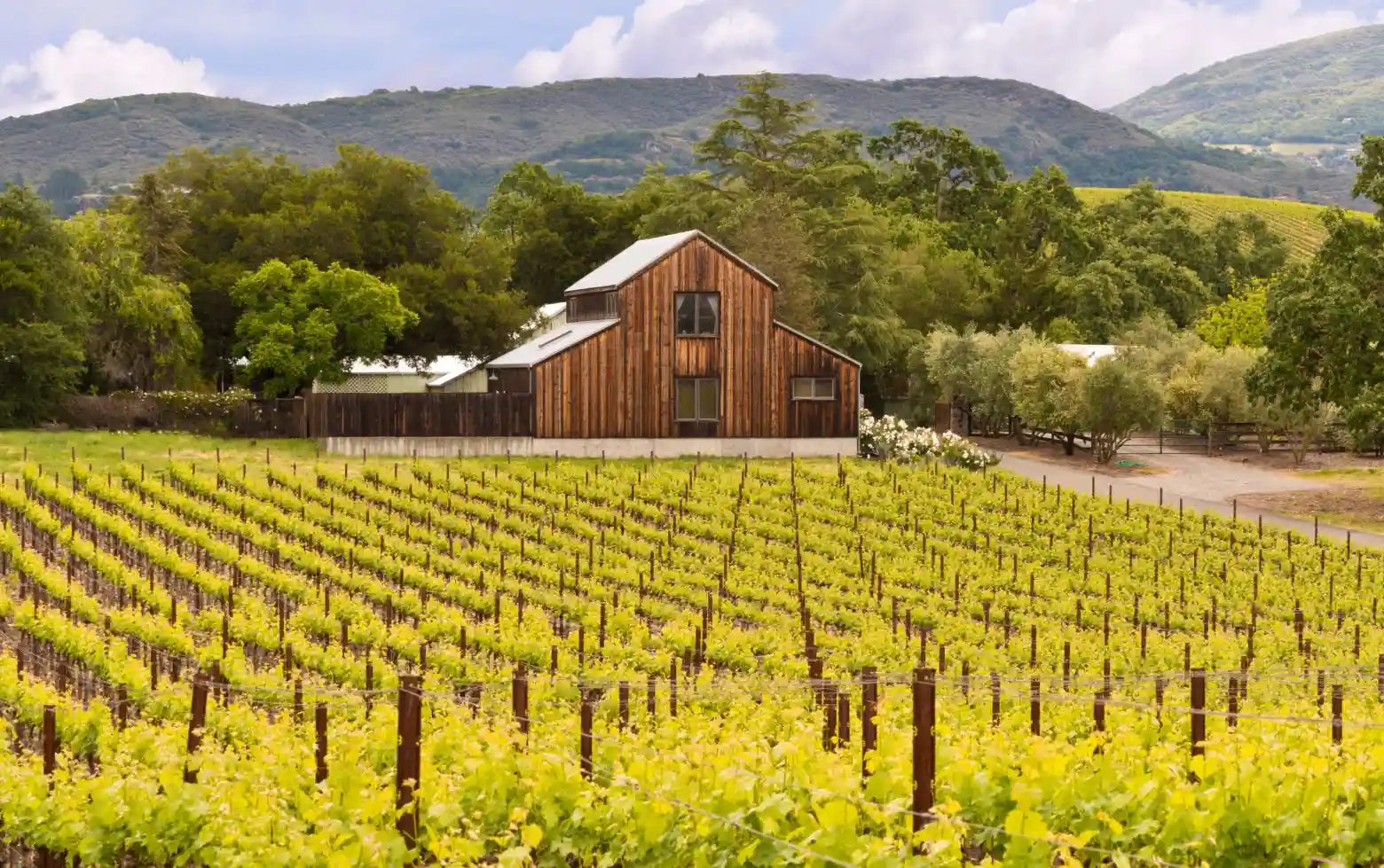 Discovering Napa Valley