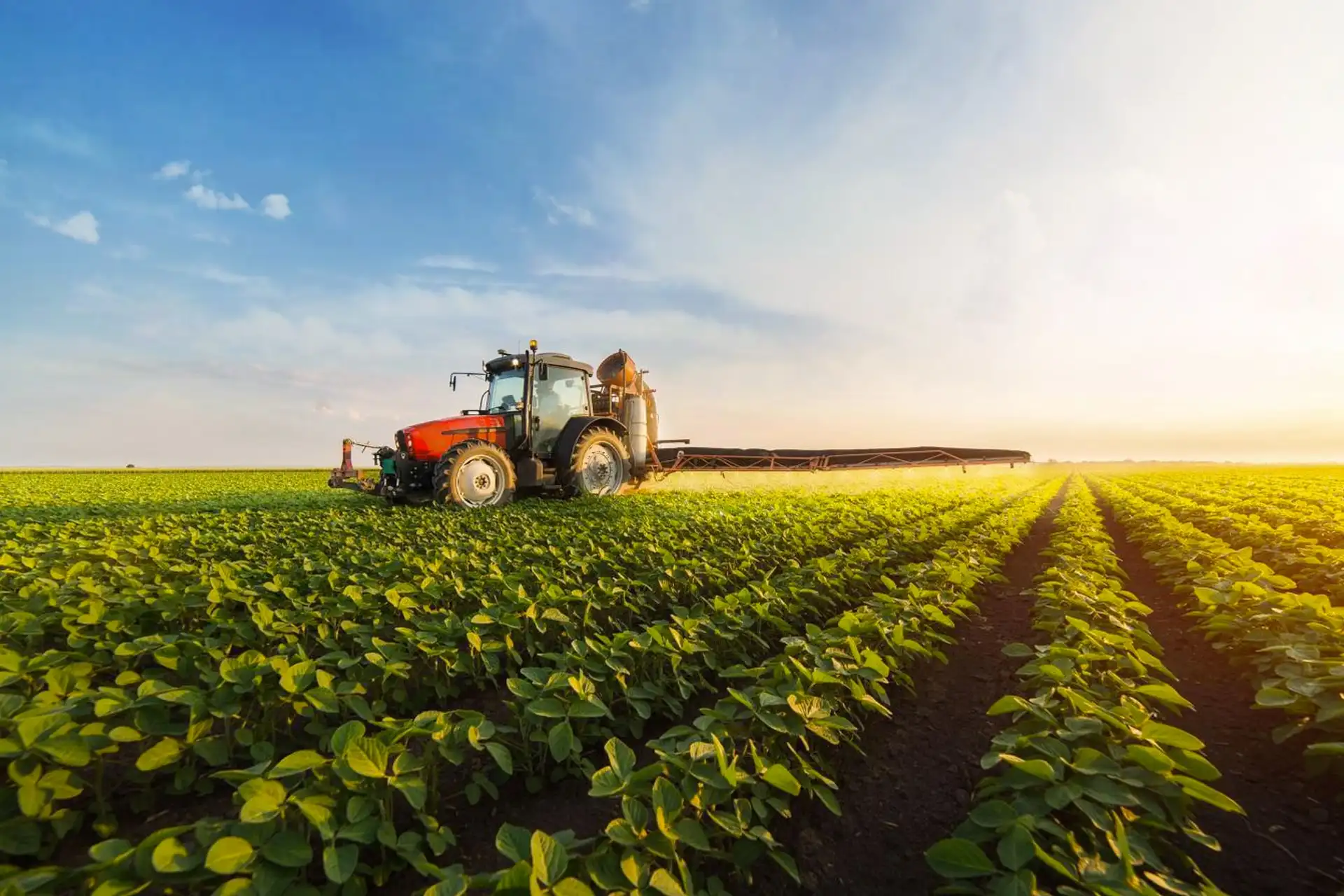 Agricultural Treat: Malabar Farm