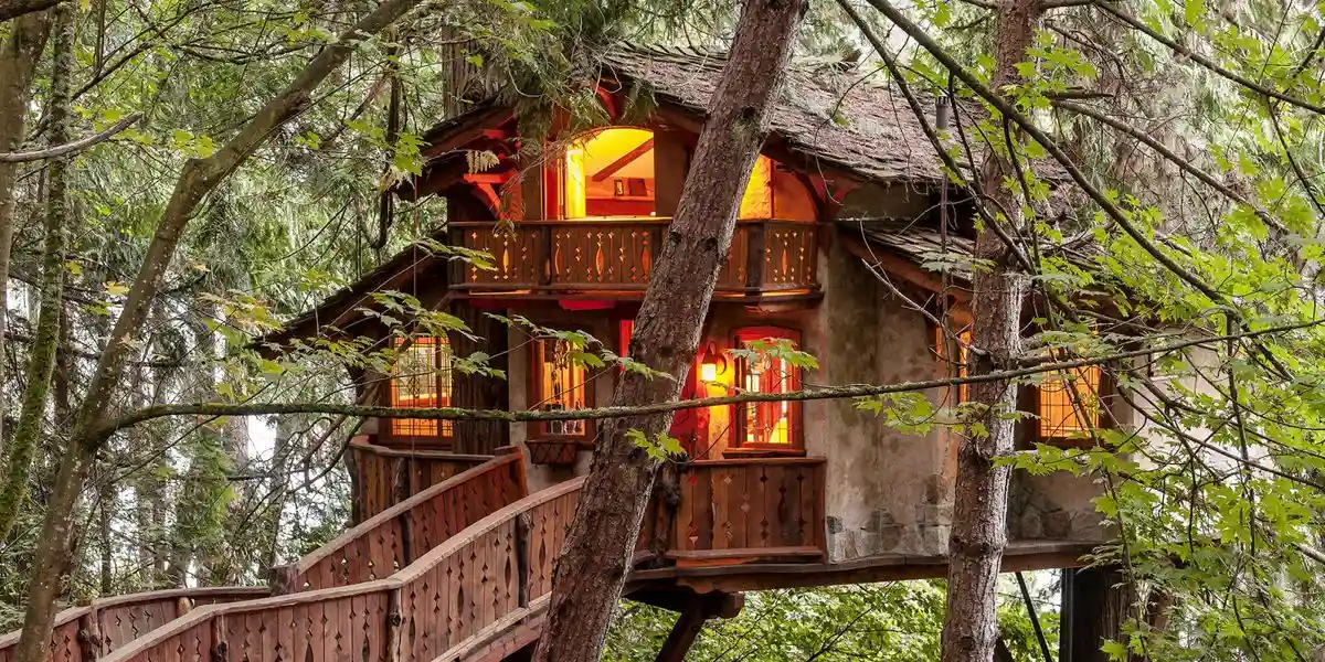 Treehouse 