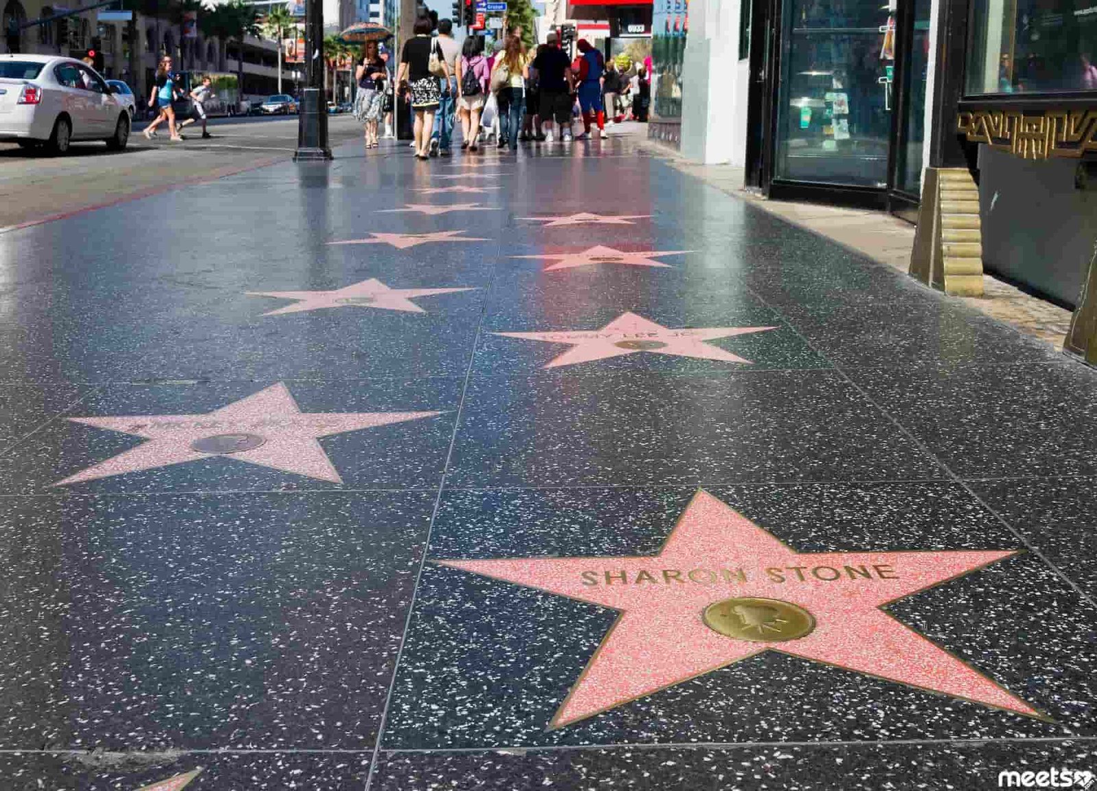 Hollywood Dream on the Walk of Fame