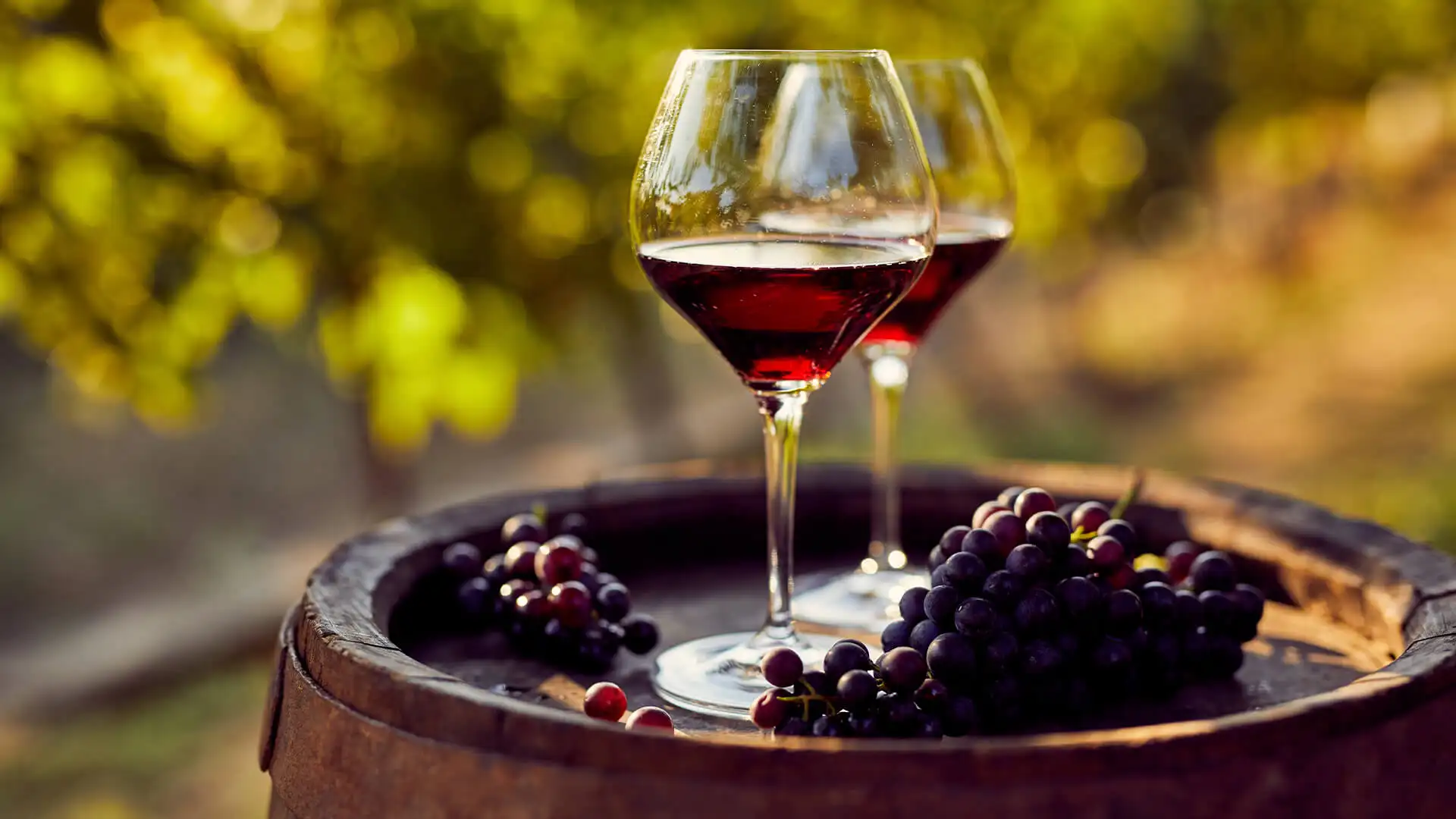 Algarve’s Private Escapes: Integrating Traditional Culture into Your Luxury Stay