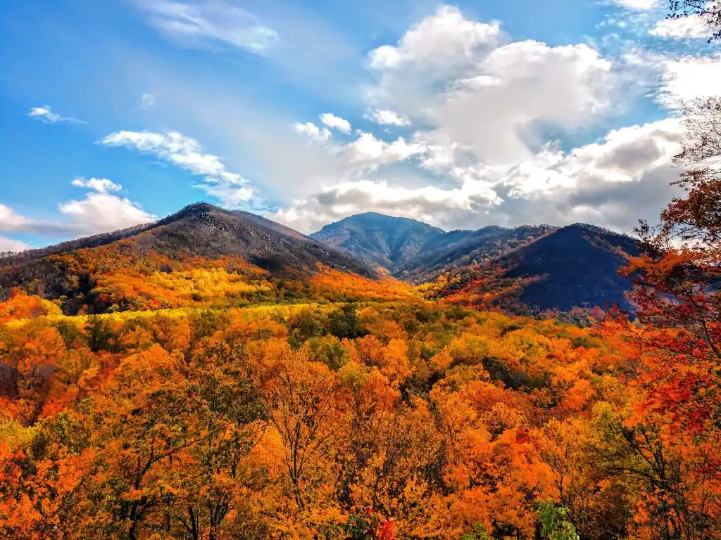 Great Smoky Mountains