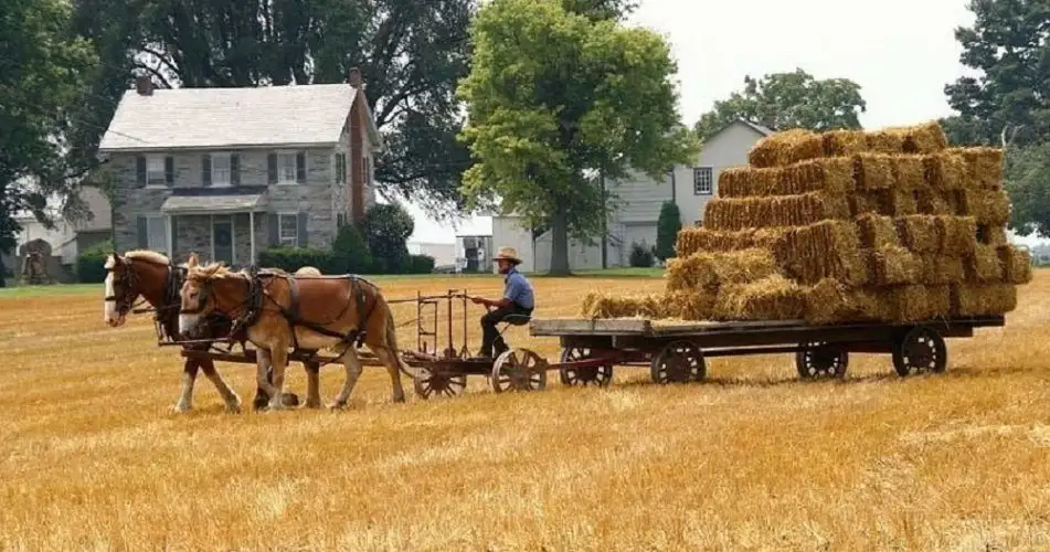 Plain & Fancy Farm Lancaster amish Country 